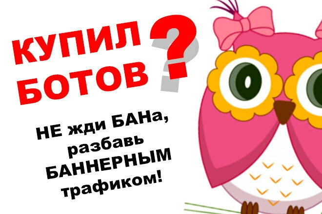 Качественный баннерный трафик от 10 до 50 посетителей в сутки - BigBossTraffic